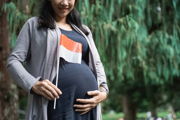 Обрезанное изображение беременной матери, стоящей с небольшим флагом Индонезии — стоковое фото