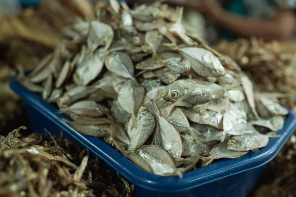 Gezouten vis op trays — Stockfoto