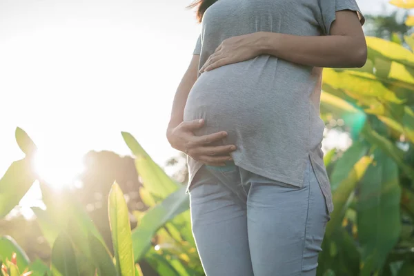 Зображення молодої жінки, вагітної стоячи збоку рослини — стокове фото