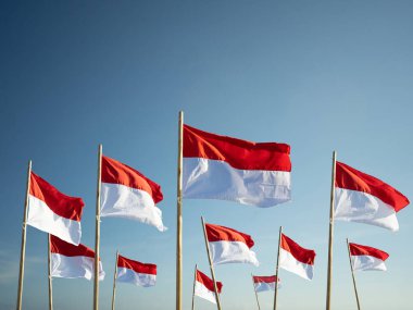 mavi gökyüzü altında endonezya bayrağı