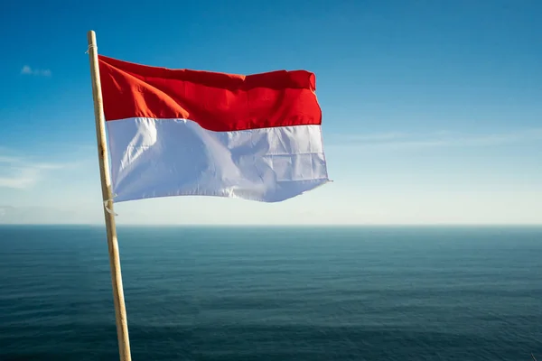 Pria asia dengan bendera indonesia merayakan hari kemerdekaan — Stok Foto