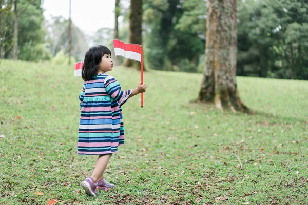 Menina asiática segurando dois pau de bandeira indonésia — Fotografia de Stock