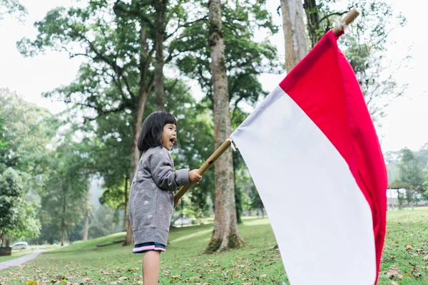 Gadis kecil asia mengibarkan bendera Indonesia — Stok Foto