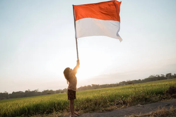 Gadis kecil asia mengibarkan bendera Indonesia — Stok Foto