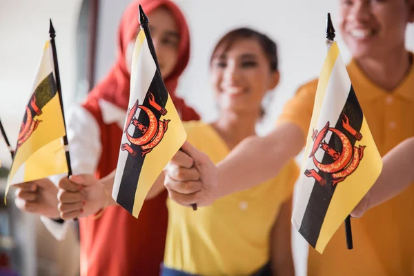 Brunei milli takımı taraftarı — Stok fotoğraf