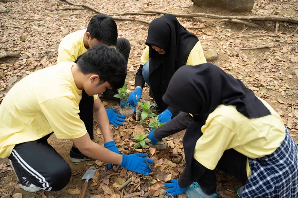 Pemuda Asia relawan menanam pohon — Stok Foto