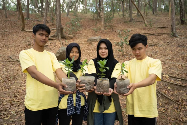 Pemuda Asia relawan membawa pohon baru — Stok Foto