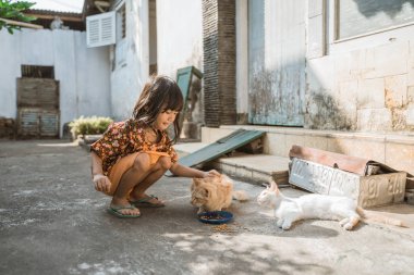java geleneksel evde kedi ile oynarken asya