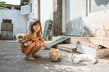 java geleneksel evde kedi ile oynarken asya