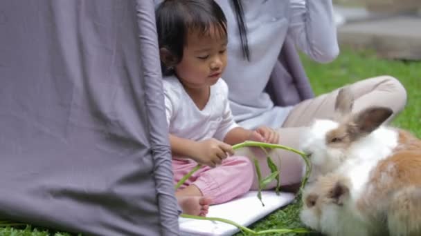 Madre e hija alimentando conejo — Vídeos de Stock