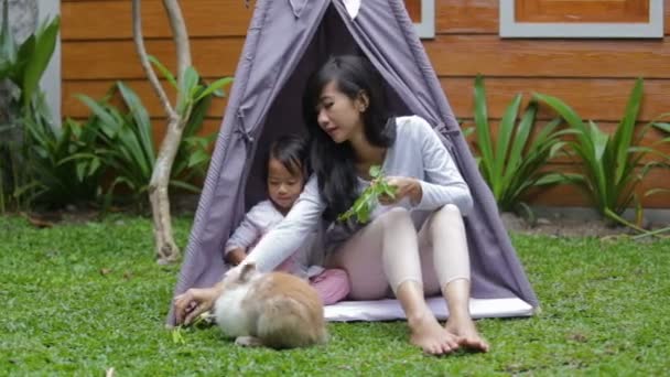 Mère et fille nourrissant le lapin — Video
