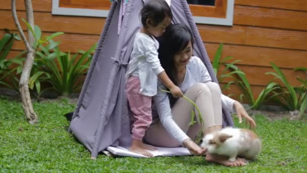 Mère et fille nourrissant le lapin — Video