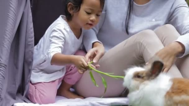 Mother and daughter feeding rabbit — Stock Video