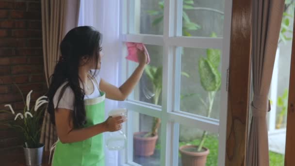 Istri rumah membersihkan rumahnya — Stok Video