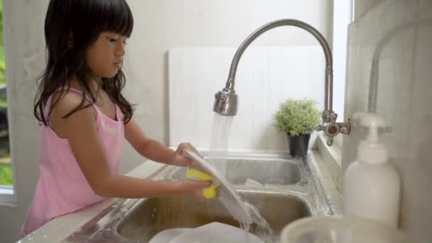 Kid washing the dishes — Stock Video