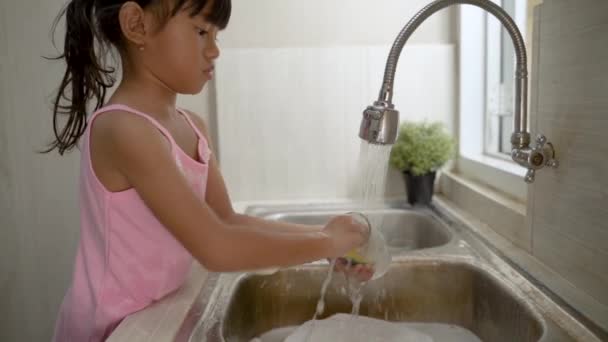 Kid washing the dishes — Stock Video