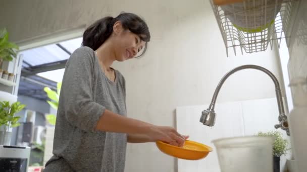 Ama de casa Lavado de platos en el fregadero de la cocina — Vídeos de Stock