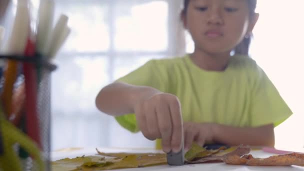 Atividade infantil fazendo artesanato a partir de folhas secas — Vídeo de Stock