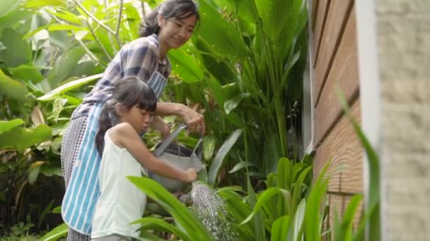 Mor och dotter vattnar sin trädgård tillsammans — Stockvideo