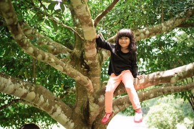 Asyalı kızlar ağaç dallarında otururlar.