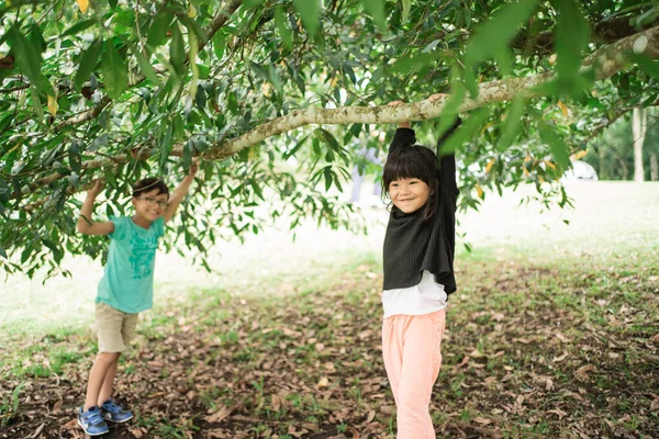 Holčičky se usmívají, když visí na větvích stromů — Stock fotografie