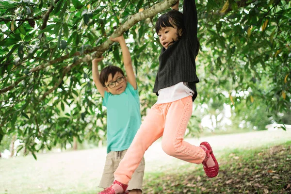 A kislány fél, miközben egy magas faágat tart a kezében. — Stock Fotó