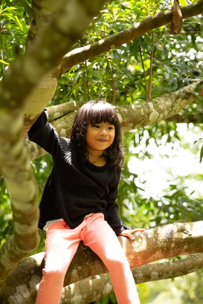 Азиатские девушки сидят на ветвях деревьев — стоковое фото