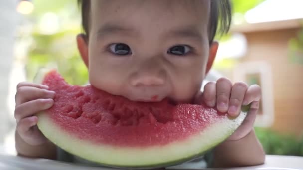 Dziecko jedzące świeże arbuzy — Wideo stockowe