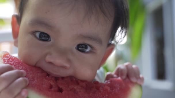 Baby isst frische Wassermelone — Stockvideo