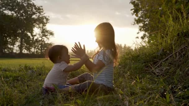 Schattig zus baby spelen outdoor togehter — Stockvideo