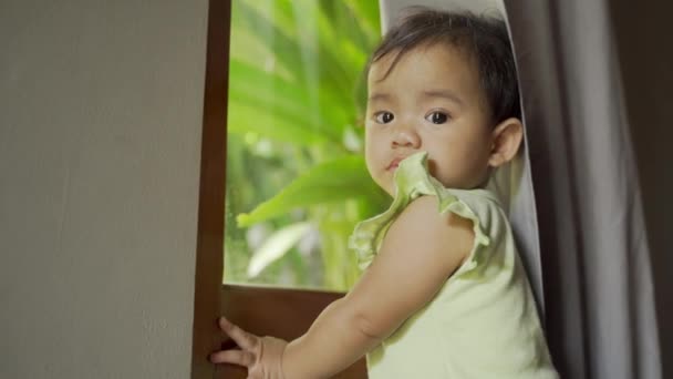 靠窗时的婴儿肖像画 — 图库视频影像