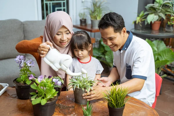 Filha vê sua mãe segurando uma lata molhando ao molhar plantas e seu pai segurando uma planta potted — Fotografia de Stock