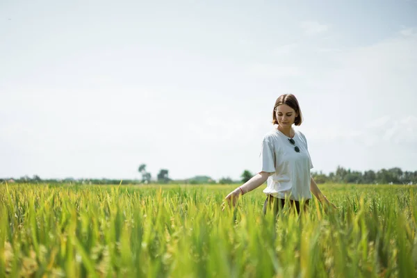 Female walking in the middle of the rice field — Stock Photo, Image