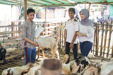 Kurban için keçi ya da koyun almak Qurban