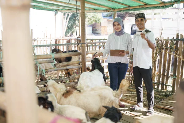 Kurban için geleneksel çiftlikte inek alan bir adam. — Stok fotoğraf