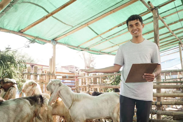 Çiftçi hayvan işçisi geleneksel çiftliğinde — Stok fotoğraf