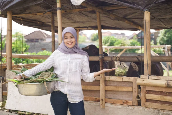 Muslim petani wanita makan hewan — Stok Foto