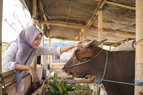 イスラム教徒の女性農民の飼料動物 — ストック写真