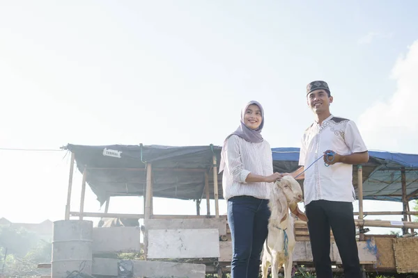 Casal muçulmano comprar uma cabra para eid adha sacrifício ou idul qurban — Fotografia de Stock
