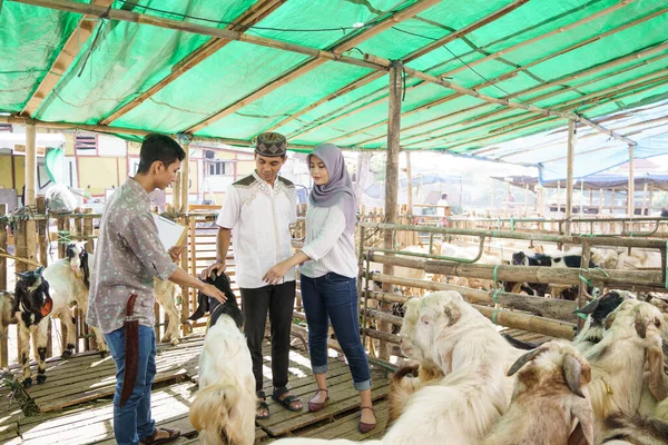 ヤギを購入している畜産農家のイスラム教徒のカップルは — ストック写真