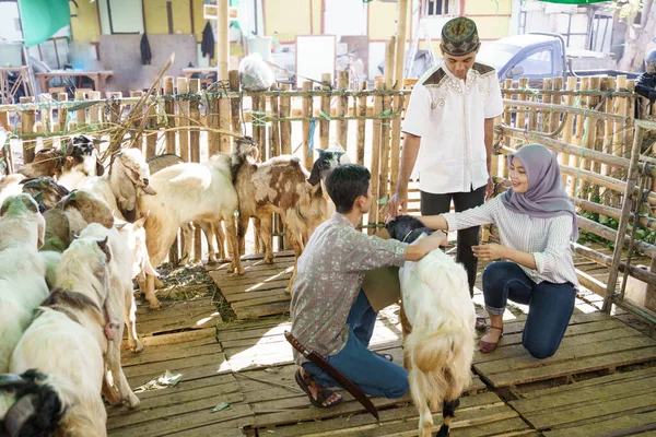 Muslim pasangan di peternakan hewan membeli kambing — Stok Foto
