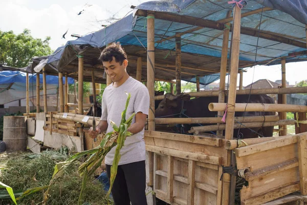 Tradiční asijský farmář připravuje nějaké jídlo — Stock fotografie