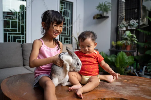 Les enfants jouent avec le vrai lapin. Petite fille bébé jouant avec l'animal dans la maison — Photo