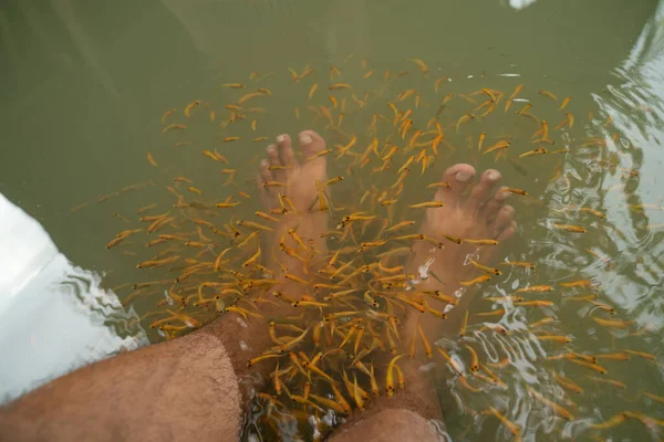 Liten fisk foder på den döda huden på benet — Stockfoto