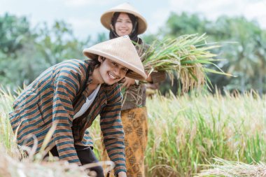 Pirinç tarlasına pirinç ekerken gülümseyen Asyalı çiftçilere yakın çekim