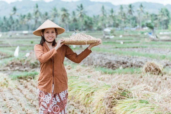 Los agricultores javaneses traen sus cultivos de arroz con bandejas de bambú tejidas — Foto de Stock