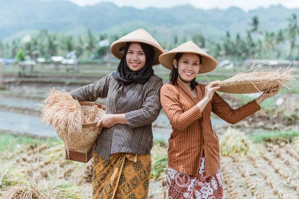Dos agricultores javaneses tradicionales traen sus cultivos de arroz con bandejas de bambú tejidas — Foto de Stock