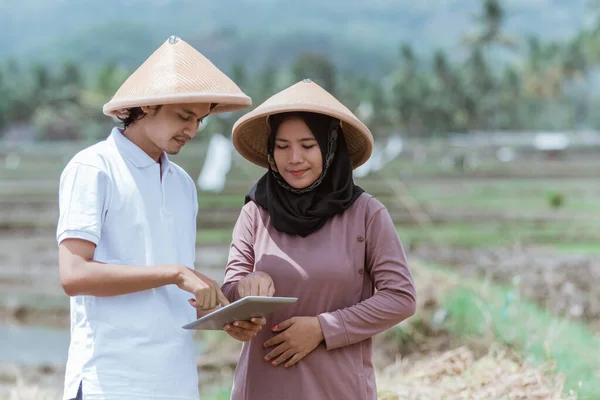 Dos agricultores asiáticos utilizaron tabletas para calcular los rendimientos del arroz de los cultivos de arroz — Foto de Stock