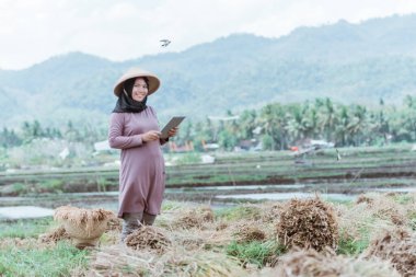 Modern Müslüman kadın çiftçiler pirinç hasadından sonra tablet kullanıyorlar