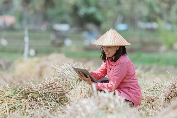 Las agricultoras usan sombreros al ponerse en cuclillas usando tabletas — Foto de Stock